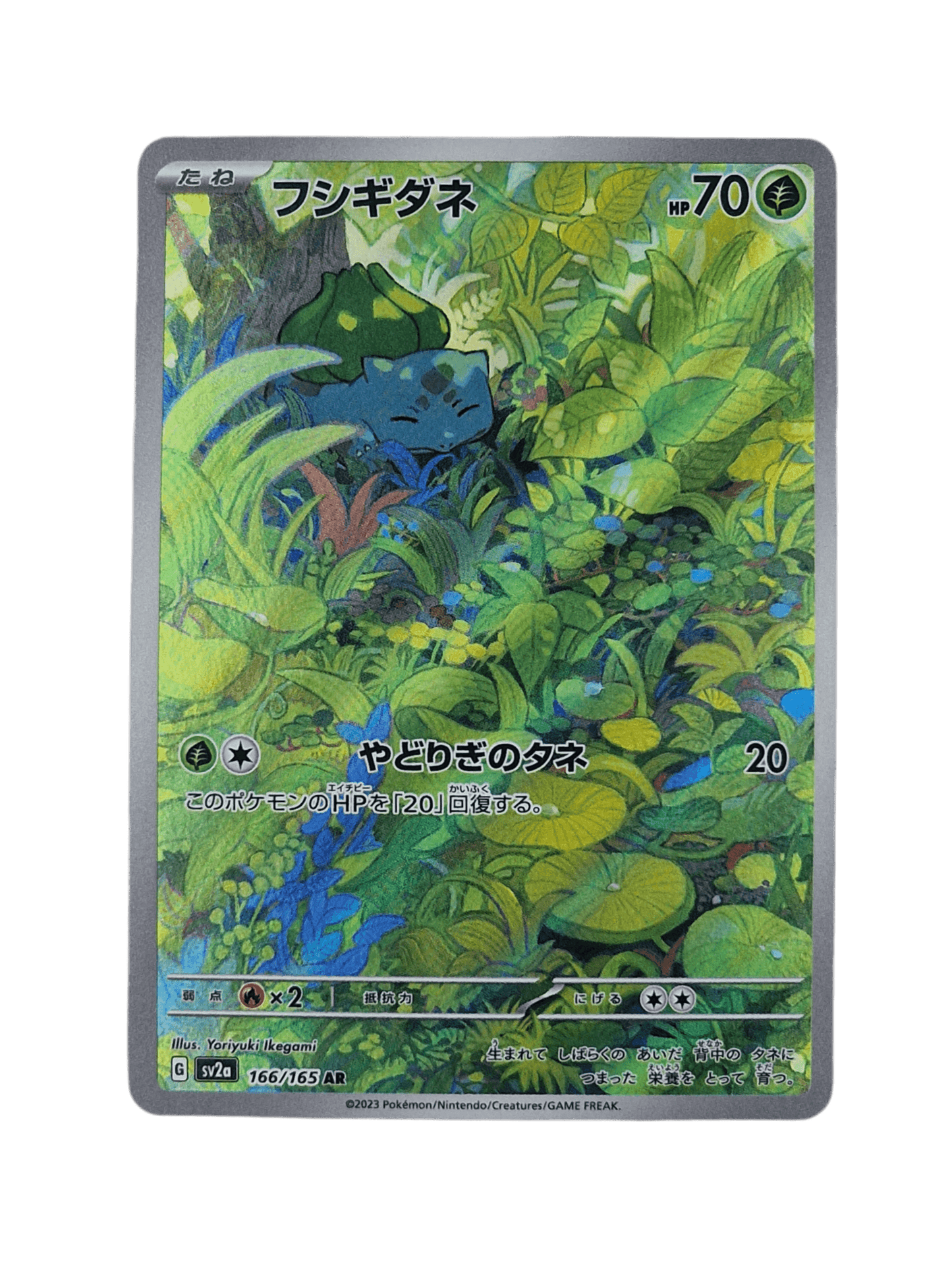 Pokémon, Bulbasaur (Japanse) single card - PKMSTORAGEZ