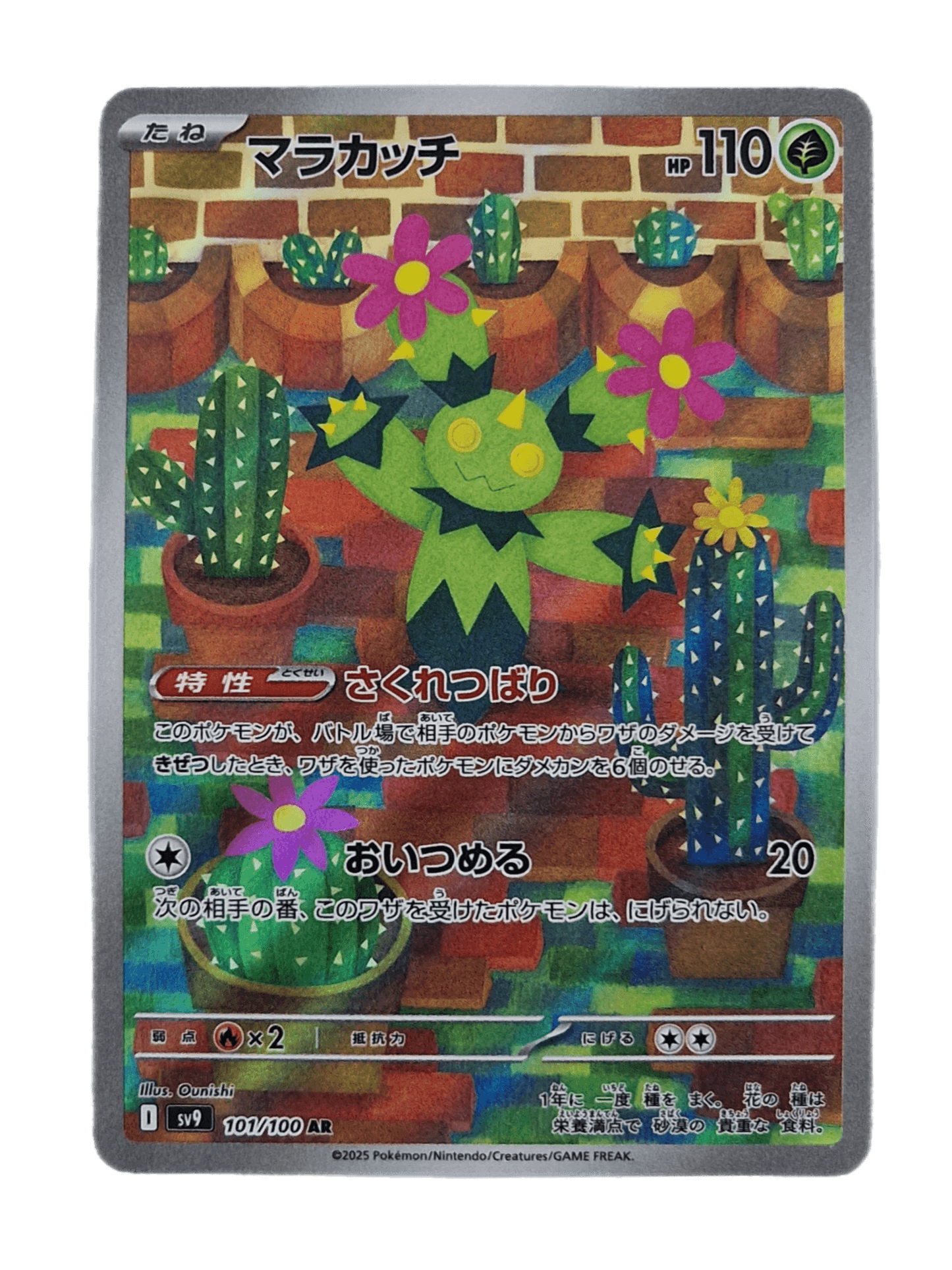 Pokémon, Maractus (Japanse) single card - PKMSTORAGEZ