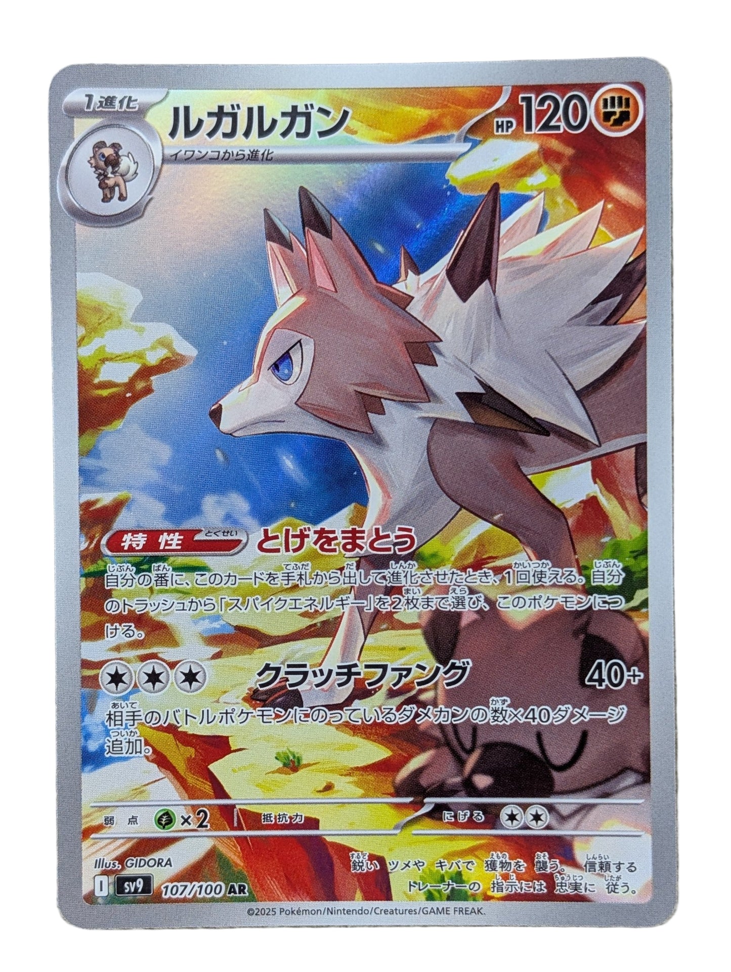 Pokémon, Lycanroc (Japanse) single card - PKMSTORAGEZ