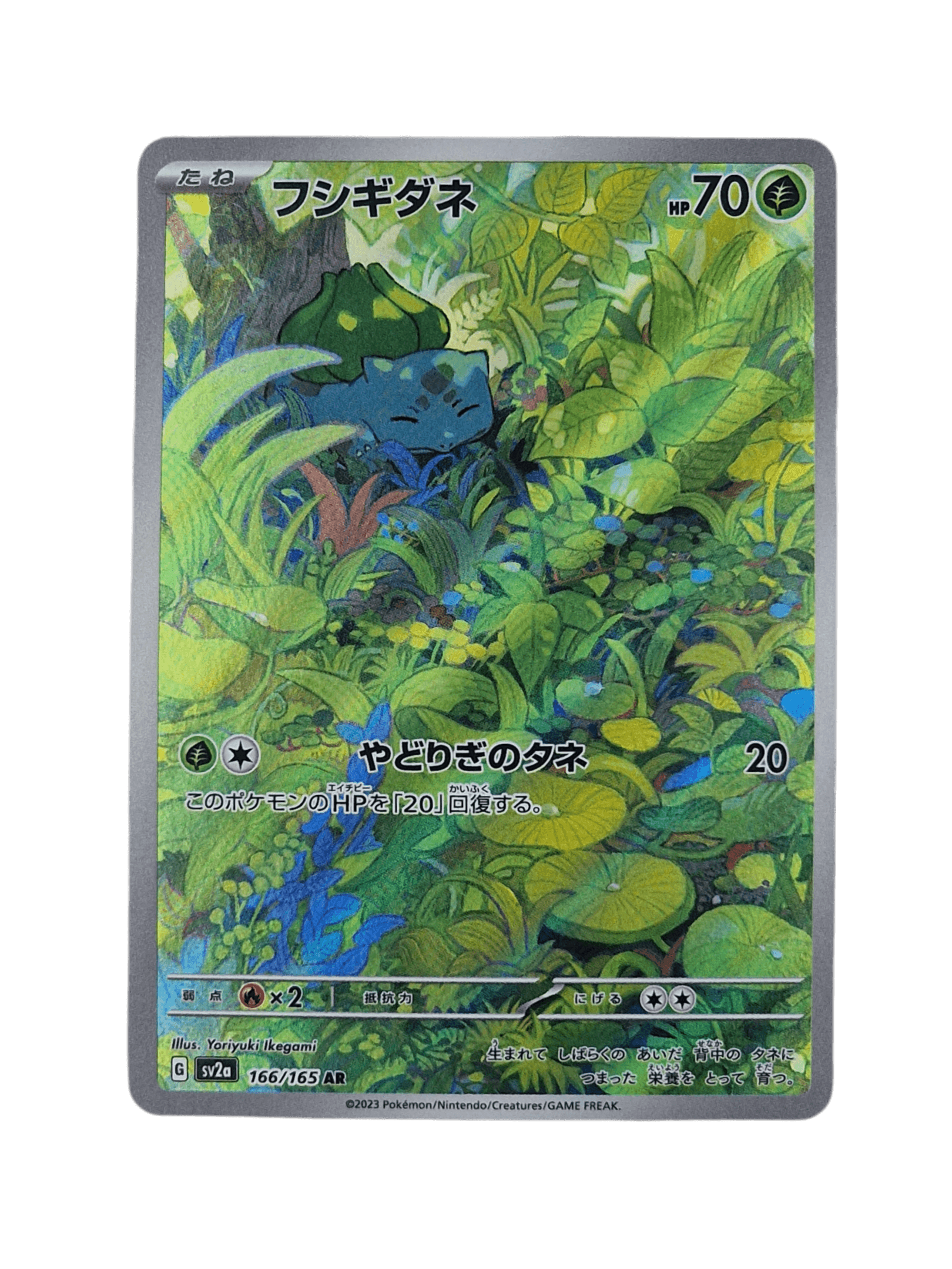 Pokémon, Bulbasaur (Japanse) single card - PKMSTORAGEZ