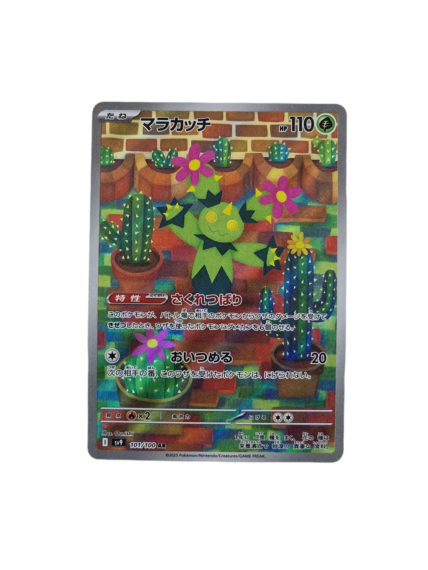 Pokémon, Maractus (Japanse) single card - PKMSTORAGEZ