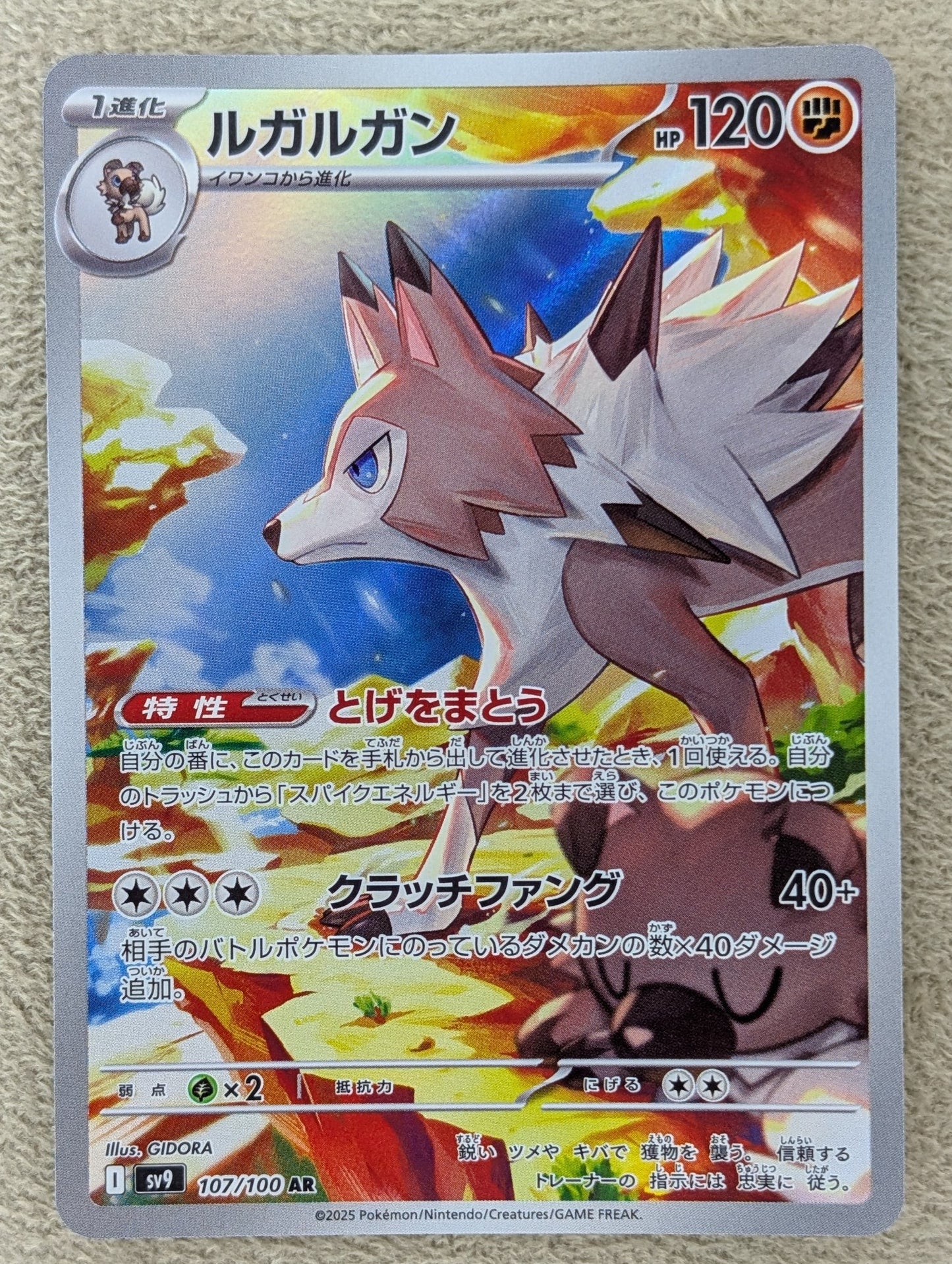 Pokémon, Lycanroc (Japanse) single card - PKMSTORAGEZ