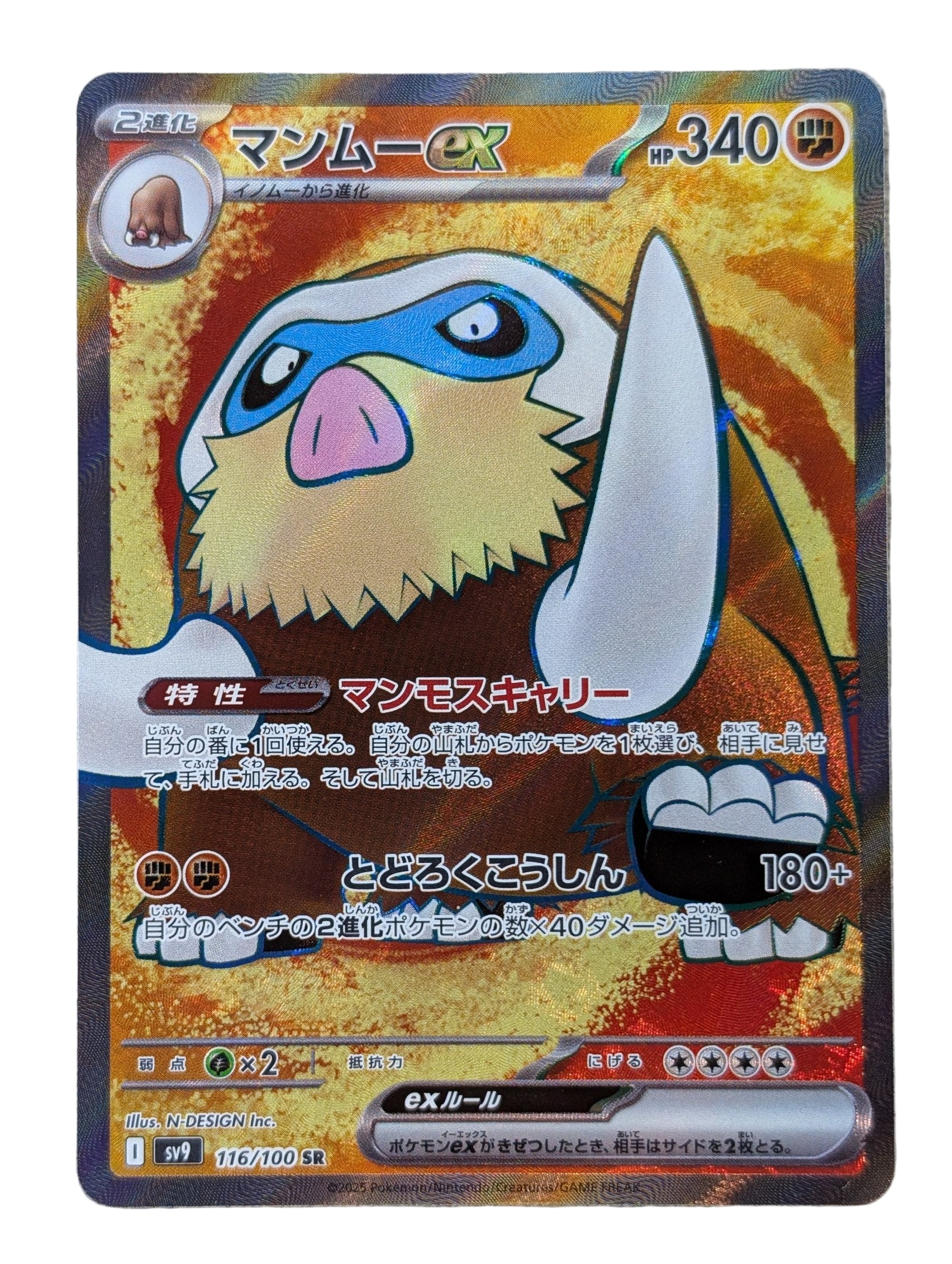 Pokémon, Mamoswine EX (Japanse) single card - PKMSTORAGEZ