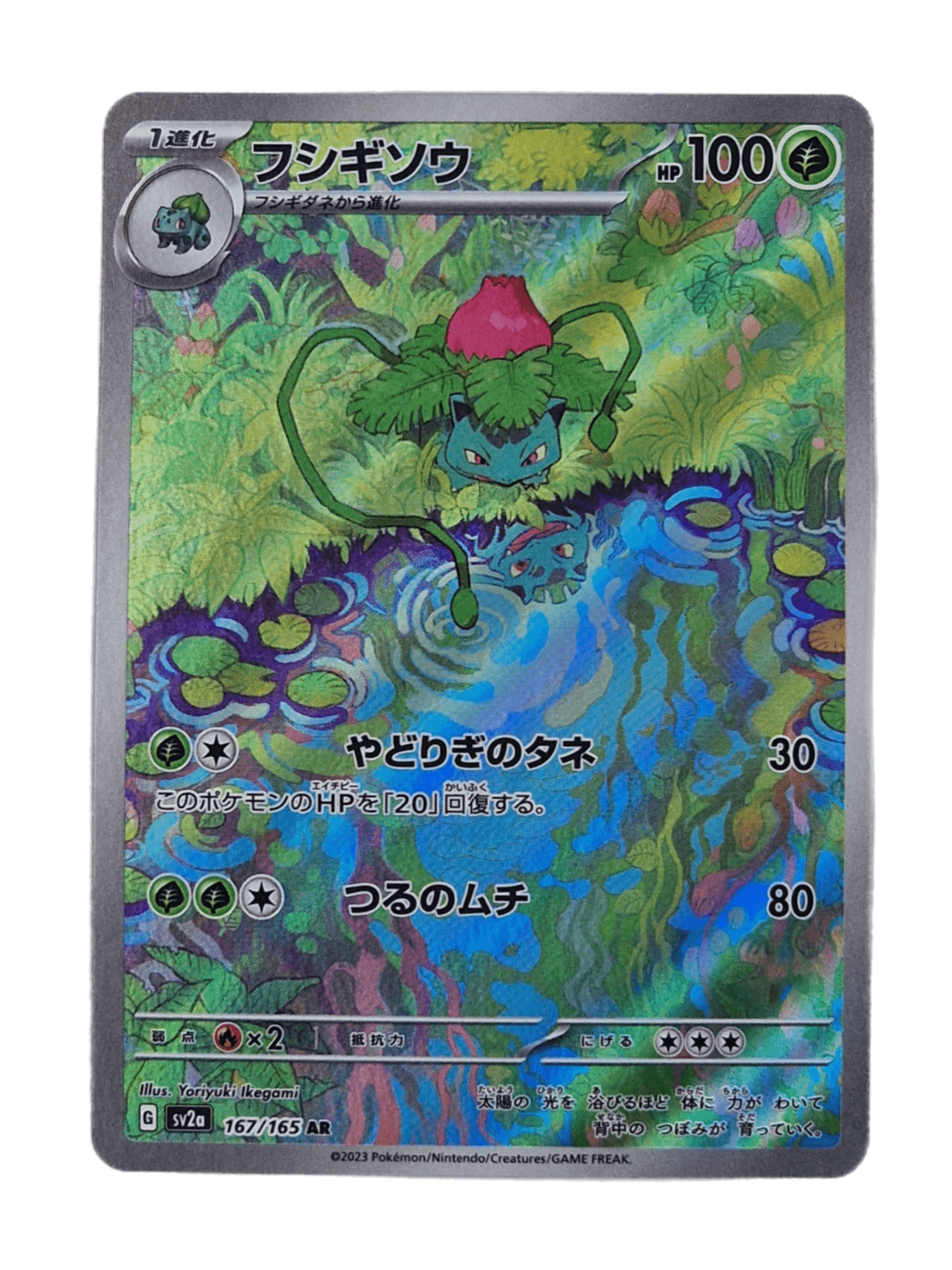 Pokémon, Ivysaur (Japanse) single card - PKMSTORAGEZ