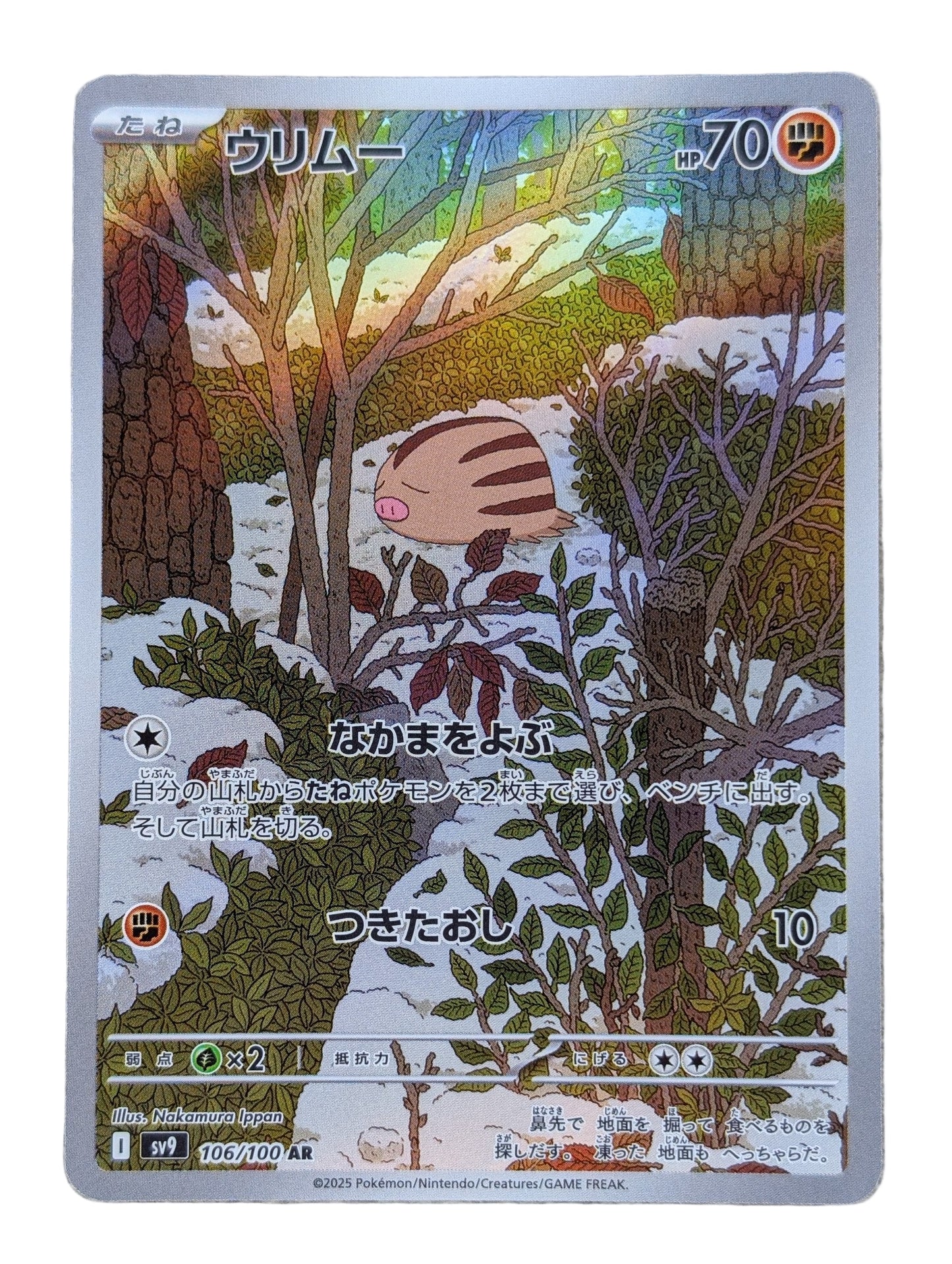 Pokémon, Swinub (Japanse) single card - PKMSTORAGEZ