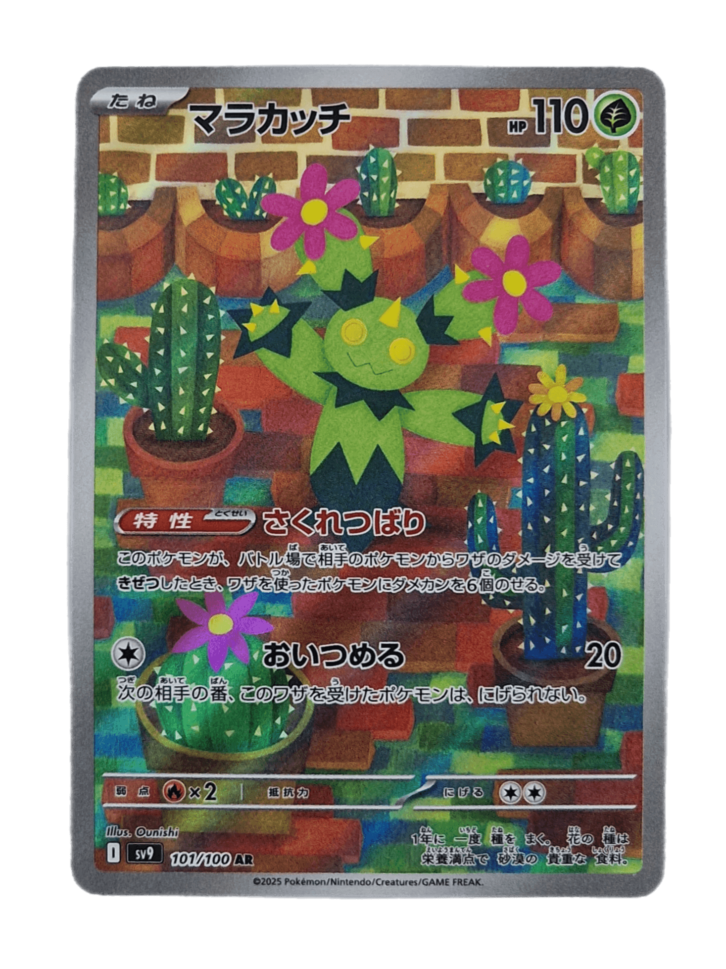 Pokémon, Maractus (Japanse) single card - PKMSTORAGEZ
